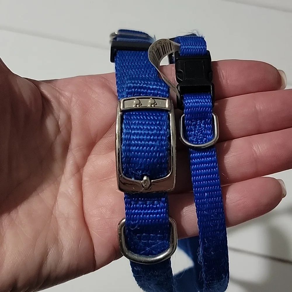 Two blue dog collars